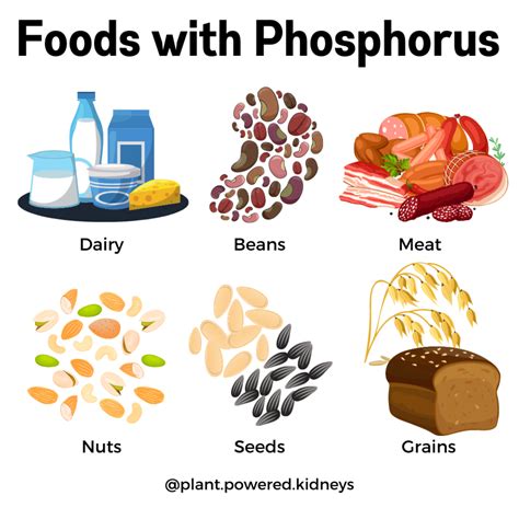 What Foods Are High In Phosphorus For Dogs