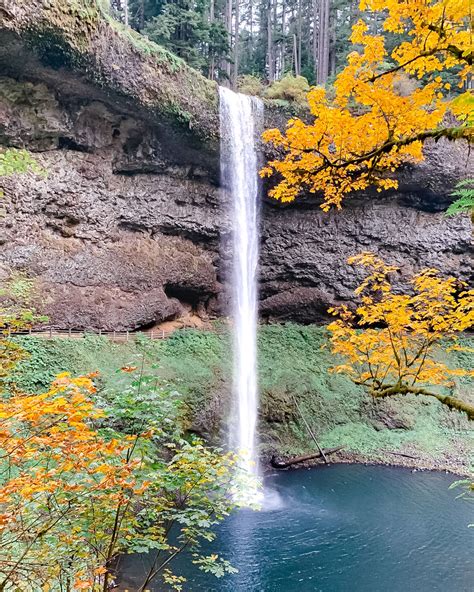 Beautiful Fall Colors at Silver Falls State Park in Oregon