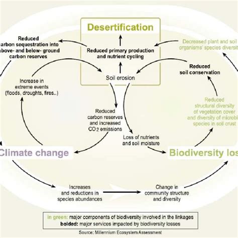 1: Causes of desertification: six clusters of underlying driving forces... | Download Scientific ...