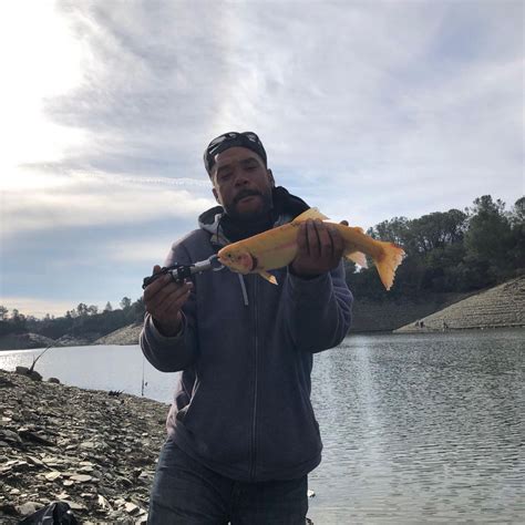 Lake Amador Fish Report - Ione, CA (Amador County)