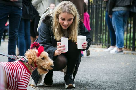 Dogs in Costumes for a Halloween Parade Photos | Image #11 - ABC News