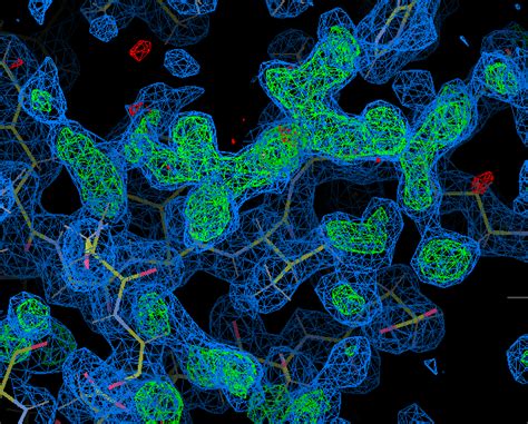 Structural biology | Biophysics, Structural Biology and Screening (BiSS) | University of Bergen