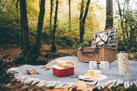 The Perfect Picnic - Discover Carmarthenshire