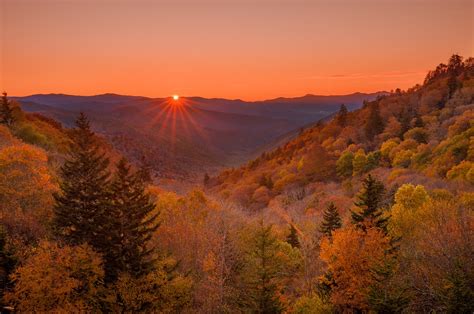 Banco de Imágenes Gratis: Atardecer en el bosque