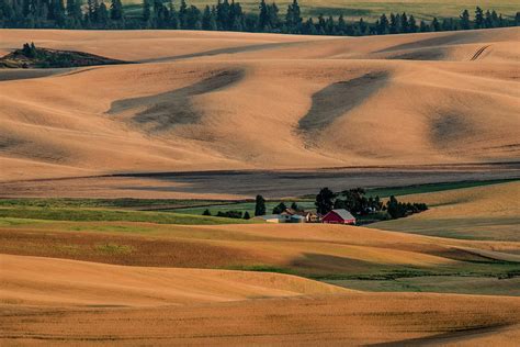 Sunset in Palouse Photograph by Connie Carr - Fine Art America