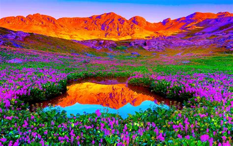 * Mountains of Color | 60 pieces jigsaw puzzle