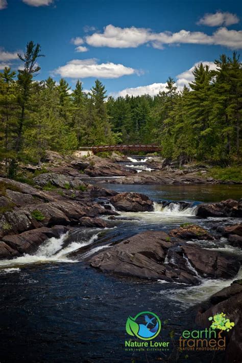 The Chutes - Chutes Provincial Park