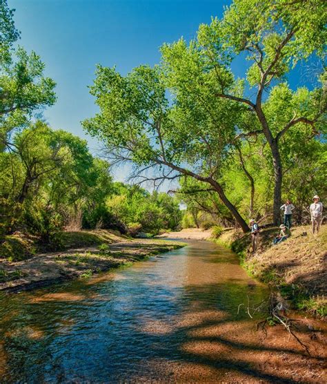 Santa Cruz River group 5 on 23 March 2018 - Arizona Land and Water Trust