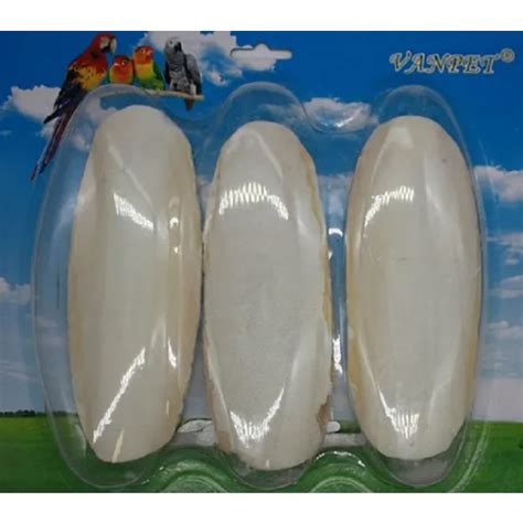 Cuttlebone 3 Pack – Totally Reptiles