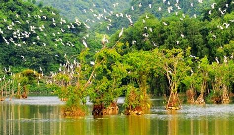 Thung Nham Bird Garden Ninh Binh - Entrance Fee, Tips, Travel Map