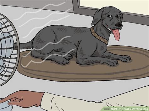 10 Ways to Treat a Panting Dog - wikiHow