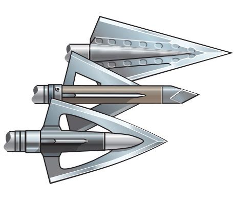 Common Types of Arrowheads: Broadheads | CA | Hunter Ed.com™