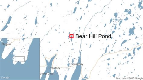 Boater, 46, killed after capsizing in Trepassey | CBC News