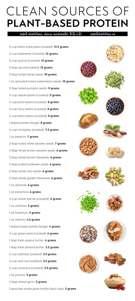 Printable Complete Protein Combinations Chart