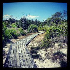 A crooked path over the dunes, LBI NJ - http://iheartlbi.com/a-crooked-path-over-the-dunes-lbi ...