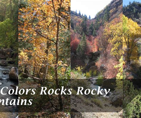 ArtStation - Fall Colors Rocks Rocky Mountains | Resources