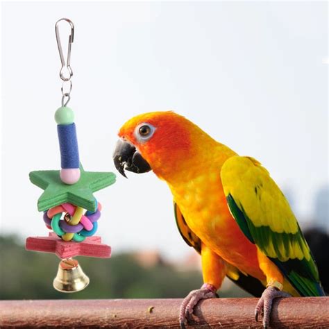 Pet Bird Natural Woods Birds Parrots Colorful Toys Chew Bite Hanging ...