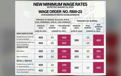 2nd tranche of pay hike for C. Luzon workers takes effect Jan. 1 ...