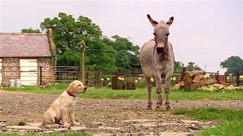 BBC ALBA - Treubh an Tuathanais (Big Barn Farm), Series 1, An Argamaid