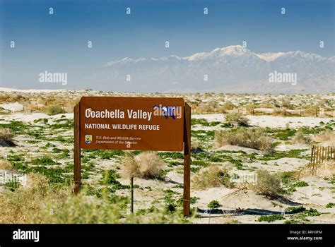 Coachella Valley National Wildlife refuge Palm Springs California Stock Photo, Royalty Free ...