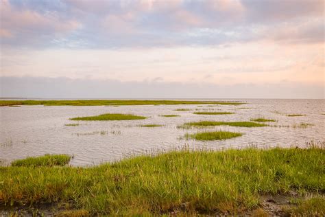 Why you should visit the Wadden Sea National Park - Adventurous Miriam