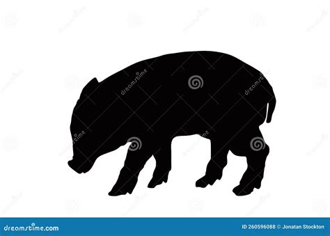 Baby Pig Vector Silhouette Illustration Isolated on White Background. Stock Vector ...