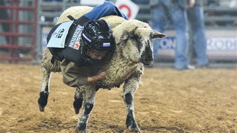 PHOTOS: Mutton Bustin' & Calf Scrambling at the Houston Rodeo - ABC13 Houston