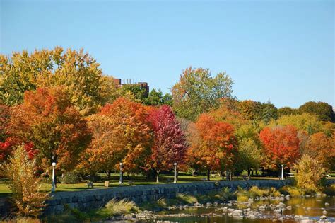 6 Beautiful Locations To Admire The Changing Fall Foliage In Ottawa