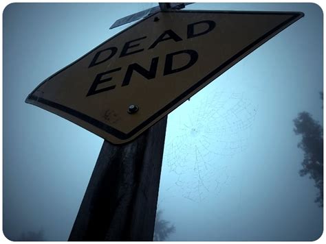 Dead End Sign and Web with Morning Dew (10.24.13; Tacoma, WA; with ...