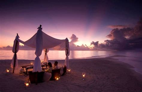 cena en la playa Maldivas, beach dinner | Romantic beach picnic, Romantic beach, Island resort