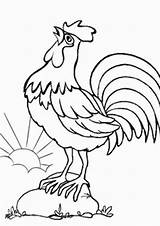 Chicken Coloring Sheets Printable Pages sketch template