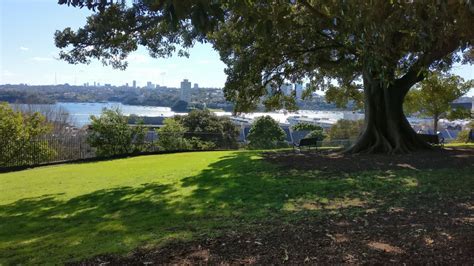 Observatory Hill Park | Sydney New Year's Eve