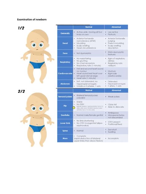 Examination of Newborn | PDF