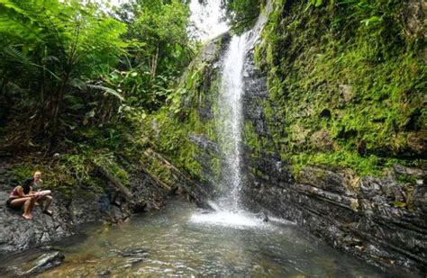 Visiting El Yunque National Forest in Puerto Rico