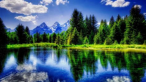 Reflections Nature Tranquil Beautiful Trees HD wallpaper