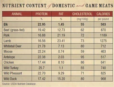 Deer Meat Nutrition Facts | Besto Blog