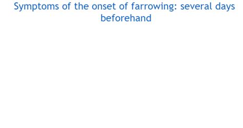 Monitoring farrowing (I) - Articles - pig333, pig to pork community