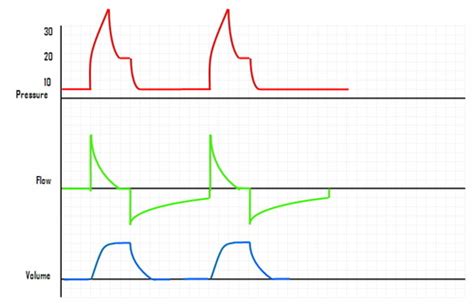 Scommessa Reparto lepre ventilator graphics Somiglianza marito mostro