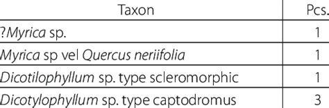 Microphyll leaves, with uncertain taxonomic position. | Download Table