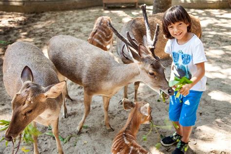 5 Kebun Binatang Di Bali yang Gak Kalah Asyik dari Pantai