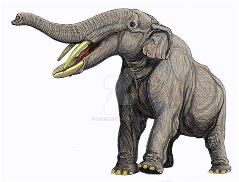 Amebelodon - Alchetron, The Free Social Encyclopedia