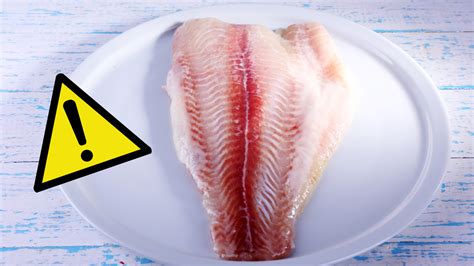 Swai Fish: 5 Reasons Not to Eat Pangasius - Utopia