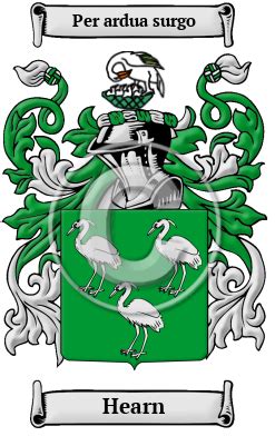 Hearn Name Meaning, Family History, Family Crest & Coats of Arms