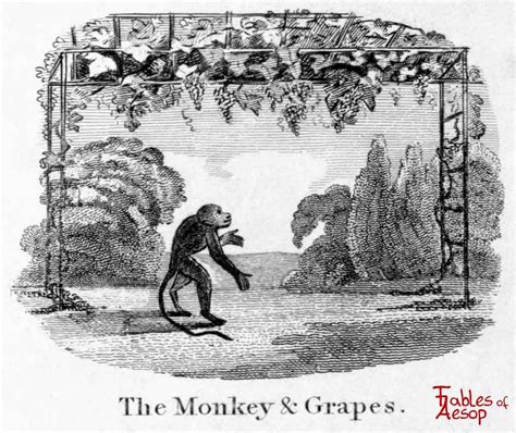 The Fox and The Grapes - Fables of Aesop