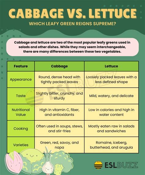 Cabbage vs. Lettuce: Which Leafy Green Reigns Supreme? - ESLBUZZ