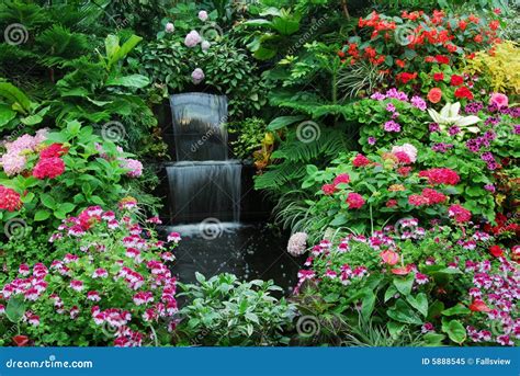 Flowers and Waterfall Garden Stock Image - Image of flora, colorful: 5888545