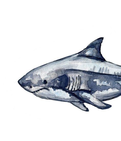 Great White Print - Etsy | Shark painting, Shark art, Art inspiration ...