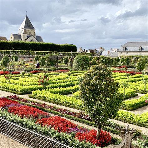 a large garden with many different types of flowers and plants in it, surrounded by buildings