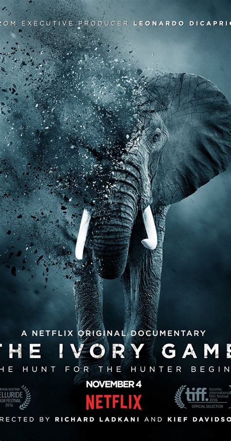 Wildlife Netflix Trailer