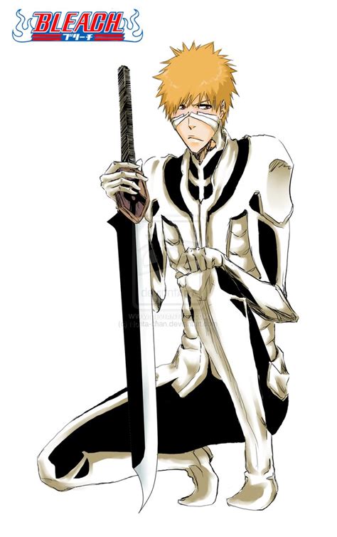 Bleach: Kurosaki Ichigo Fullbring